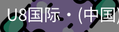 U8国际